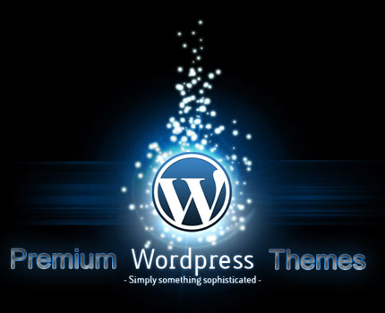 Top 10 Premium WordPress Themes of 2013