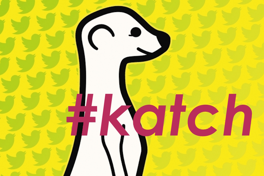 Katch, for Meerkat, for Twitter